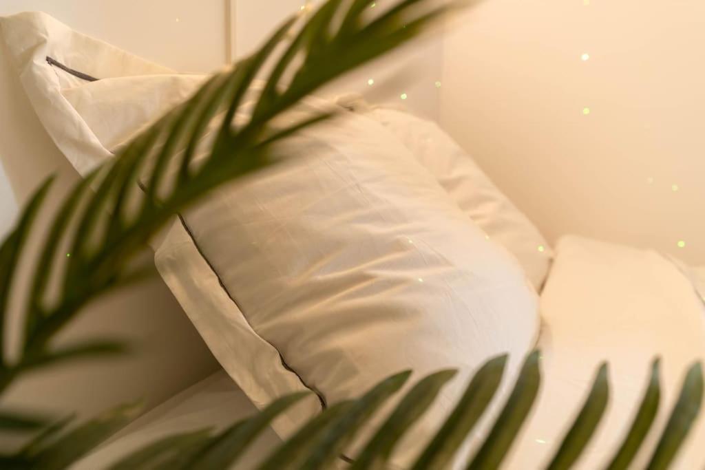Apartment Ag5 Joli Cosy, Proche Mer, Wifi Nizza